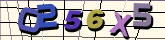 Chuck Norris has counted to infinity. Twice.